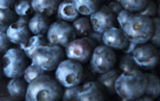 blaubeere.jpg
