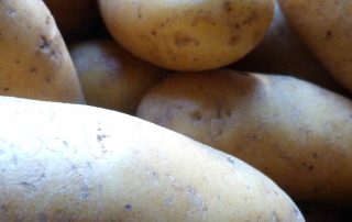 kartoffel.jpg